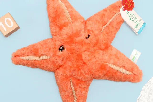 Plush Starfish