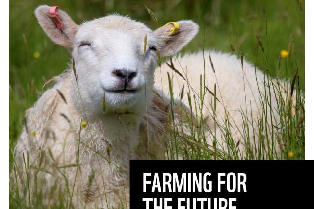 A report cover with the WWF logo and the 'Farming for the Future' title. The cover background image is a sheep on a nature friendly croft amongst long grass and wild flowers.