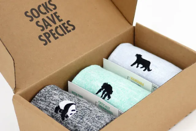 Critically Endangered Adult Speckled Socks - 3 Pack