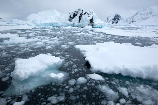 Drifting melting ice in the sea, Antarctica.
