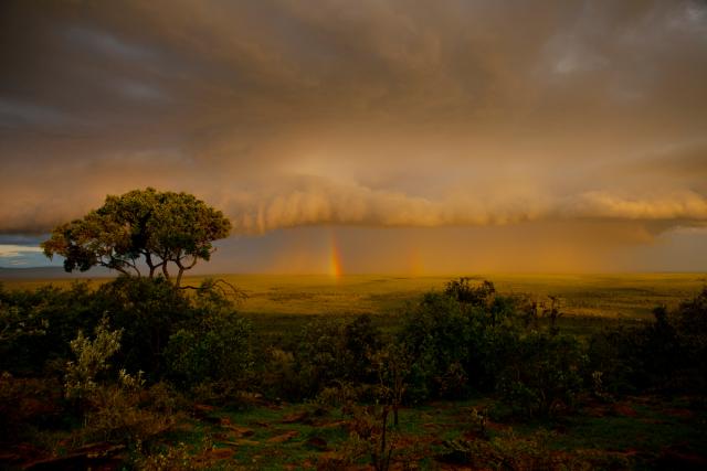 Rainbow appears in storm clouds over the Maasai Mara reserve, Kenya