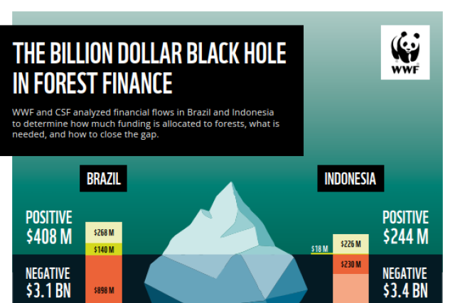 Forest finance summary front cover
