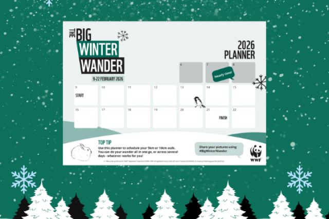 Big Winter Wander Planner