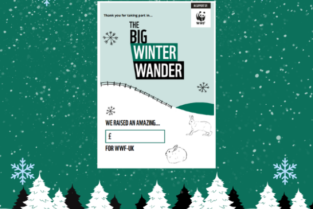 Big Winter Wander Poster