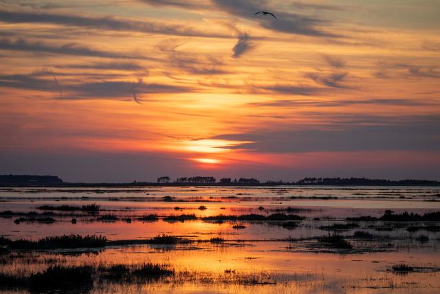 Sunset over the marsh.