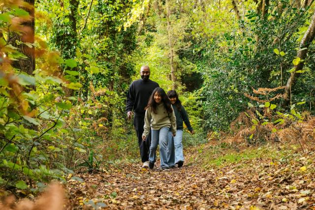 Family walking in woods wearing Pangaia jumpers