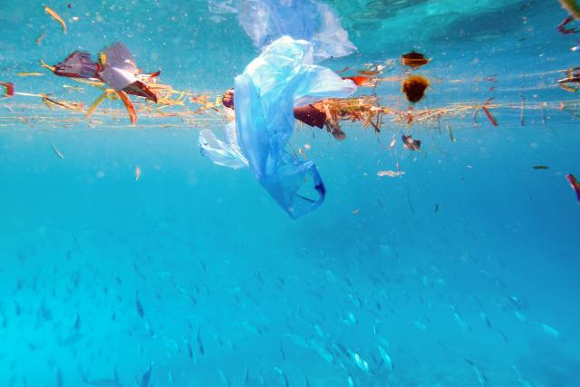 Plastic pollution in ocean, school of travel swims through discarded plastic rubbish.