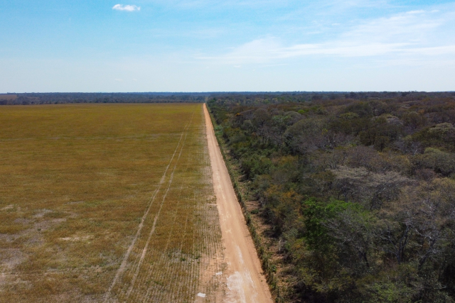 Boris farm next to deforested land