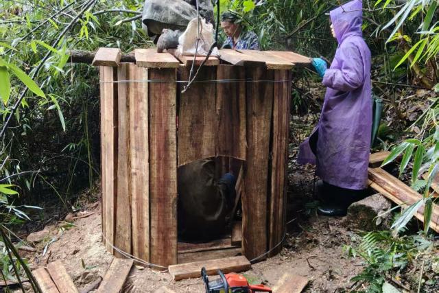 Construction of artificial dens in Daxiangling area