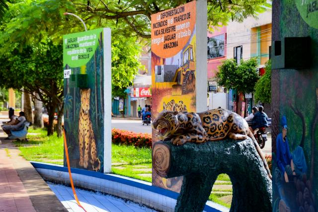 murals in the city of Cobija, inviting reflection on the ecological role of the jaguar 