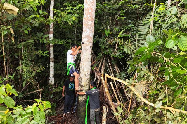 improved livelihoods training – use of WWF-supported safety equipment for non-timber forest product harvesting  