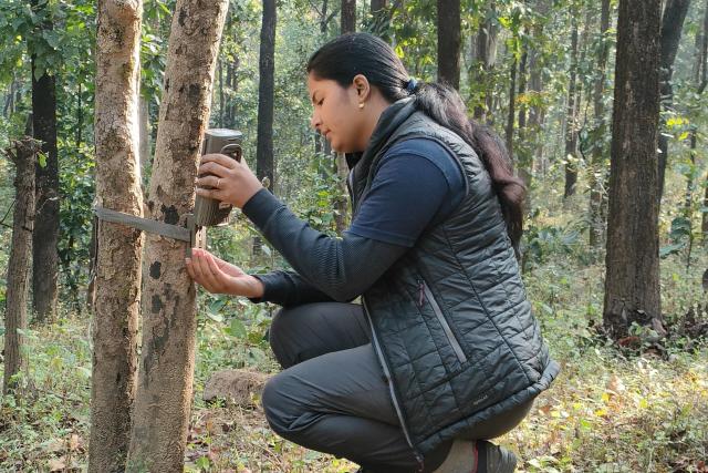 Malvika Colvin setting a camera trap