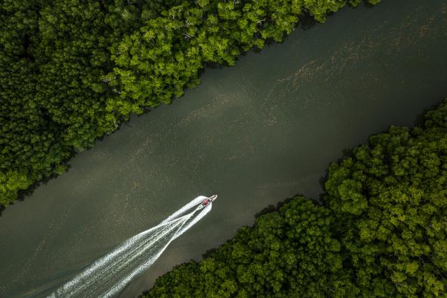 A fiber glass boat drives through the mangrove-fringed Wainikoro River in northern Vanua Levu, the second-largest island in Fiji.