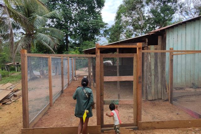 improved livestock pen constructed as part of project to tackle livestock depredation by jaguars. Supports livelihoods and coexistence