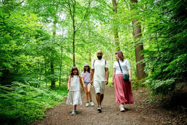 A picture of a family walking in a forest. 
