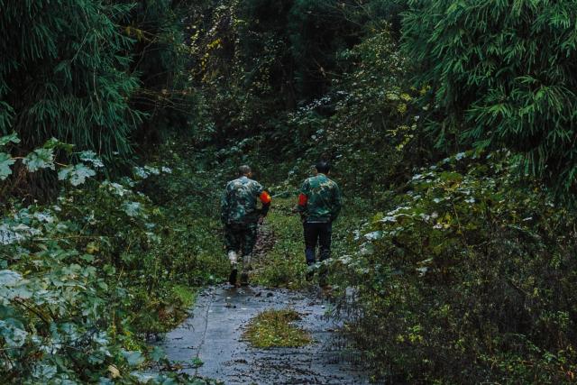 Patrol of Panda lanscape