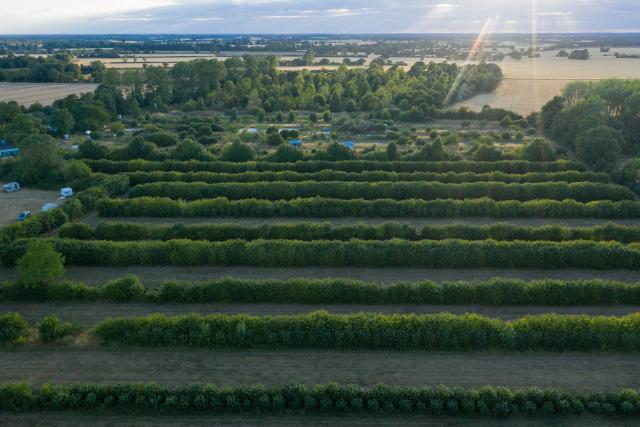 Aerial views of Wakelyns Farm, Fressingfield, Suffolk. It is a 23-acre organic farm on one of the most long established and most diverse agroforestry sites