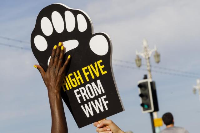 High Fiving WWF sign