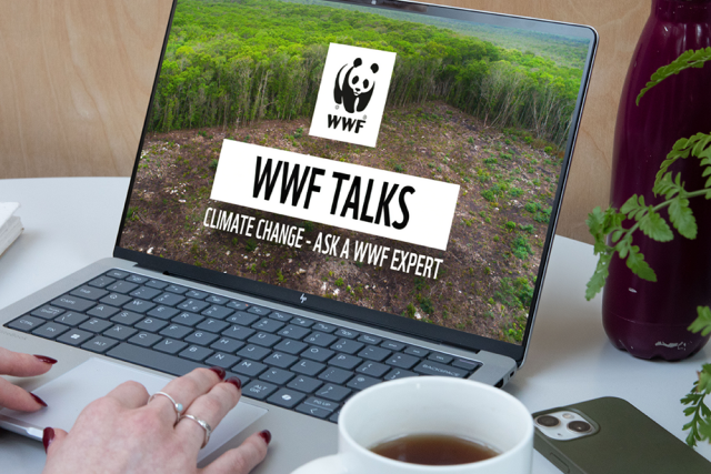 WWF Talks Laptop Setup