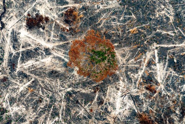 Aerial view of intense devastation adter wildfires in Sete de Setembro indigenous land Brazil Israel Vale