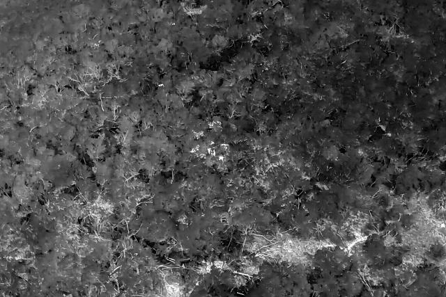 Black and white drone footage
