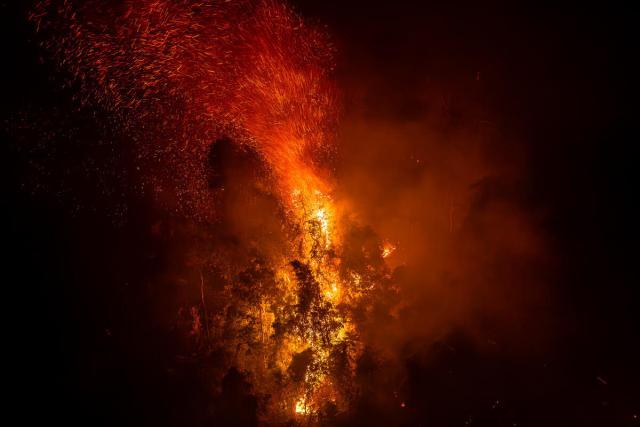 Wildfires in 2024 in the Sete de Setembro Indigenous land Brazil