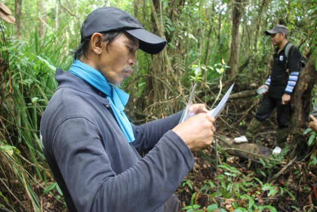 William and his team members document the plants eaten by orangutans