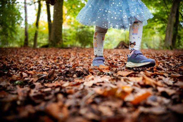 A child walking through the autumn leaves of Alice Holt Forest, England, UK © Paul Rogers