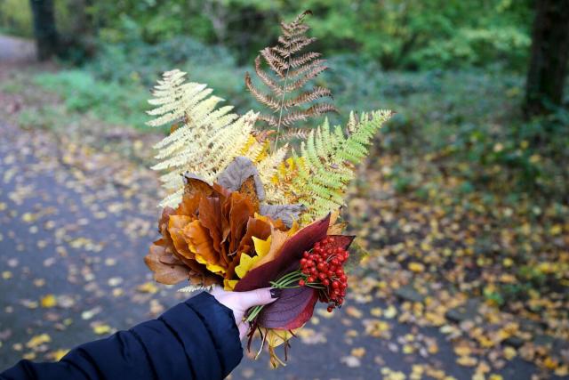 A collection of autumnal leaves © Christian Sinibaldi