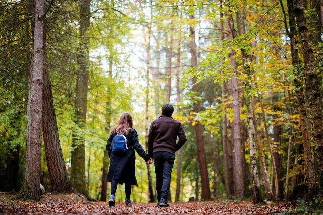 A couple walking amongst the autumn leaves of Alice Holt Forest, Hampshire.  © Paul Rogers   