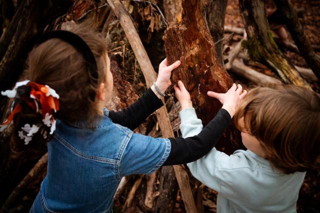 Children playing with sticks and bark in autumn, Alice Holt Forest, England, UK © Paul Rogers