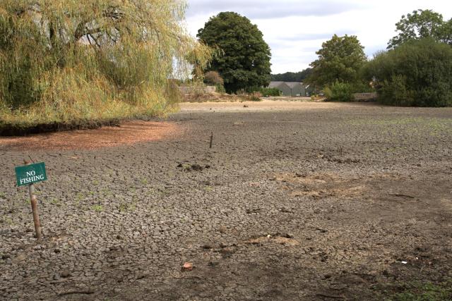The dried bed of Falmer pond in the Summer of 2026