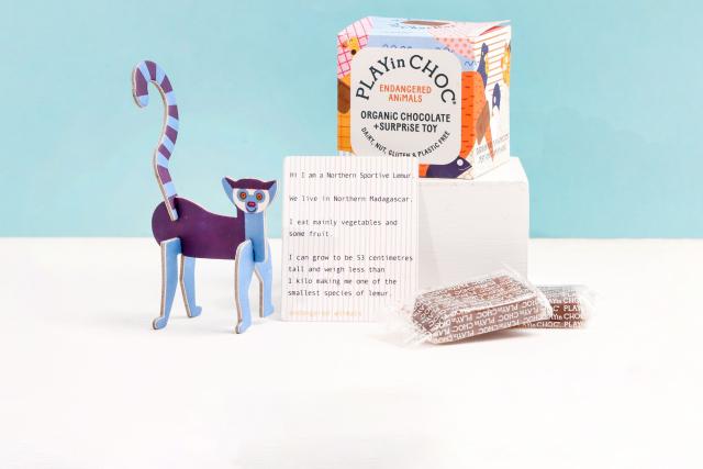 Play in Choc box with a build your own cardboard animal toy