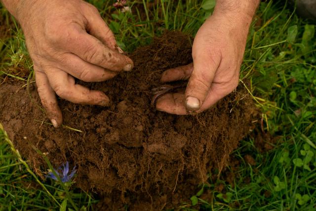Regenerative agriculture soil health 