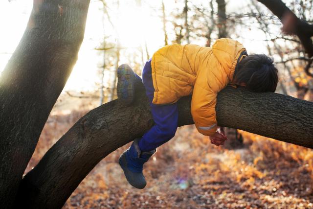 Young boy hugs tree branch UK © David Bebber 
