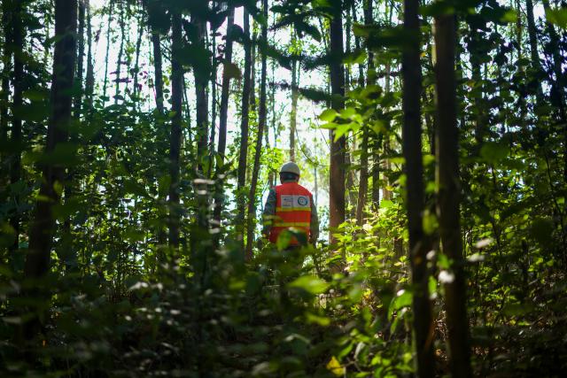 Mr Hoa, an acacia smallholder in Quang Tri Province, Viet Nam © WWF-Greater Mekong / FGS Production