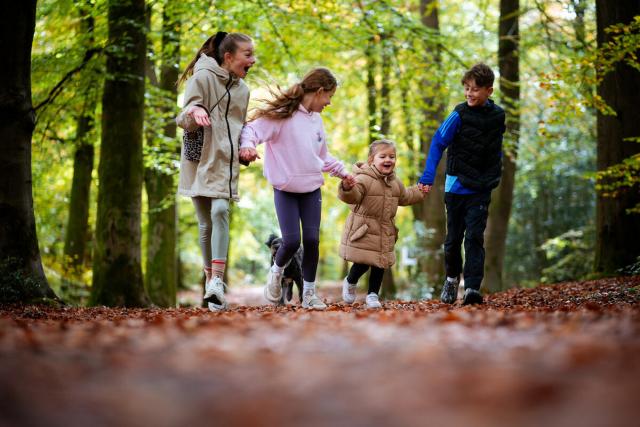 Children enjoying a woodland walk at Alice Holt Forest, Hampshire.  © Paul Rogers