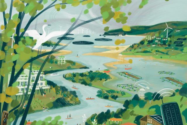 Pembrokeshire Illustration © Jasmine Hortop
