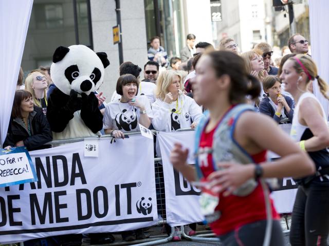 Team panda supporters at the London marathon