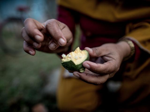 Woman holding a fig 