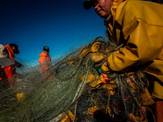 Crew on a fishing boat