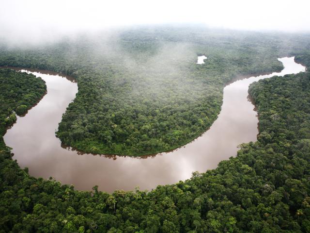 Aerial shot of a winding river, Amazon rainforest, Loreto region, Peru.