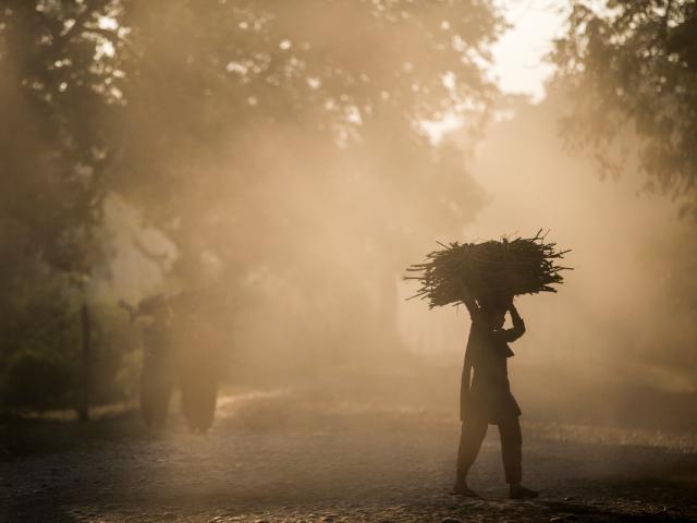 Carrying firewood in Khata corridor, near Bardia National Park, Nepal.
