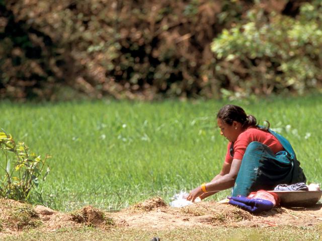 Woman doing her washing in a small stream. Bandhavgarh, Madhya Pradesh, India