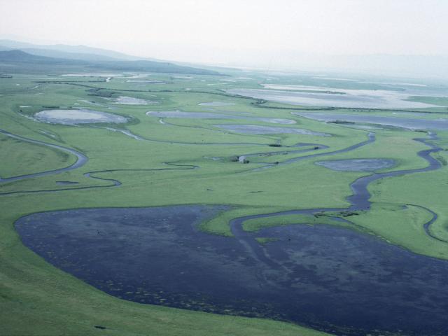 Floodplains of the Amur river. Aerial view. Siberia, Russian Federation.