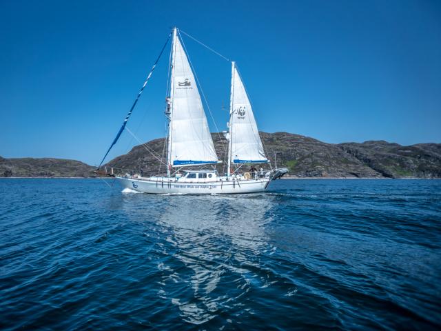 WWF branded boat in Scottish seas