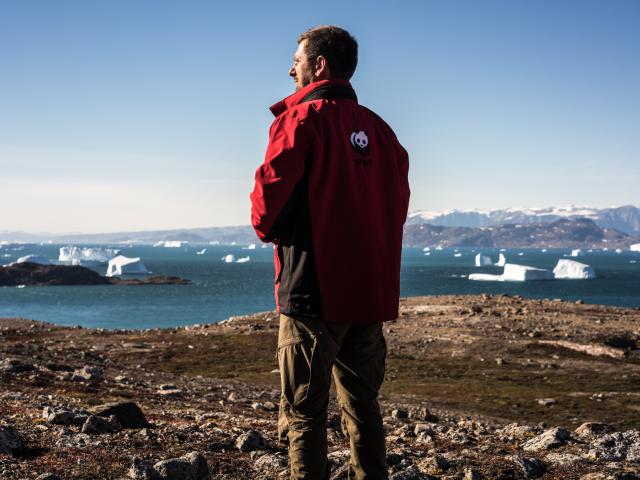 WWF staff member in the Arctic