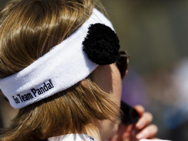 Team Panda volunteer