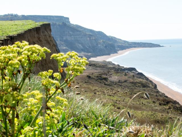 Isle of Wight Challenge