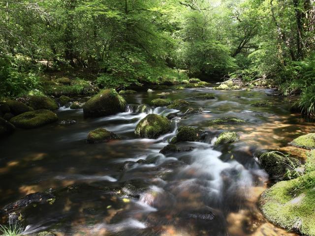 River Tamar, Cornwall